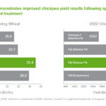 How to Get Cricket ID Online: Step‑by‑Step Guide, Benefits & FAQs